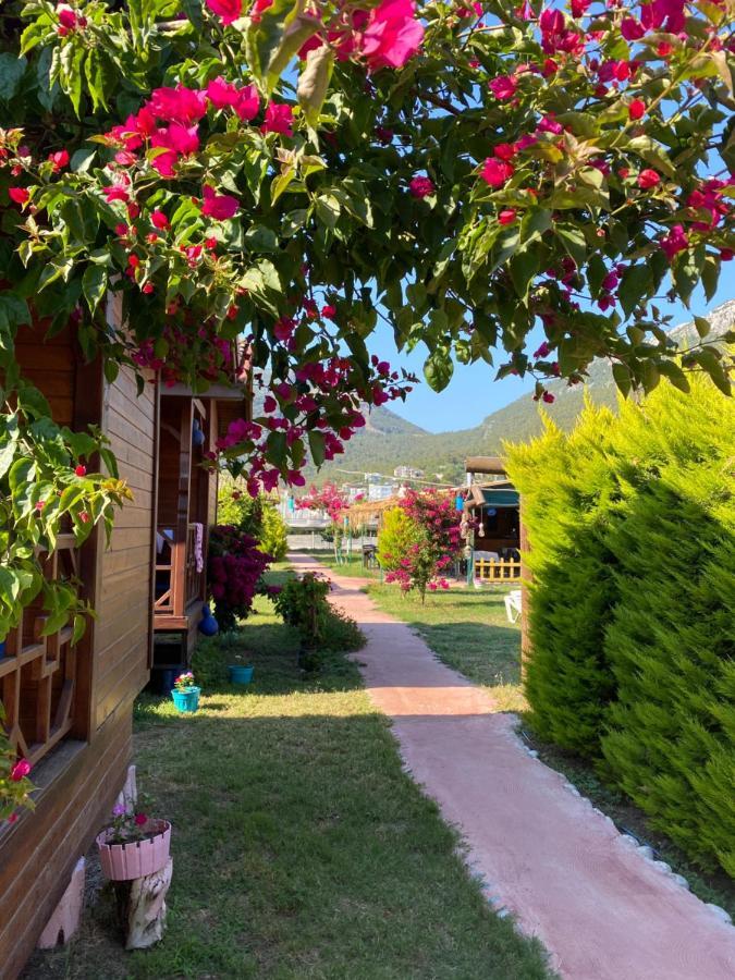 Karaoez Ada Bungalows & Villa Екстериор снимка