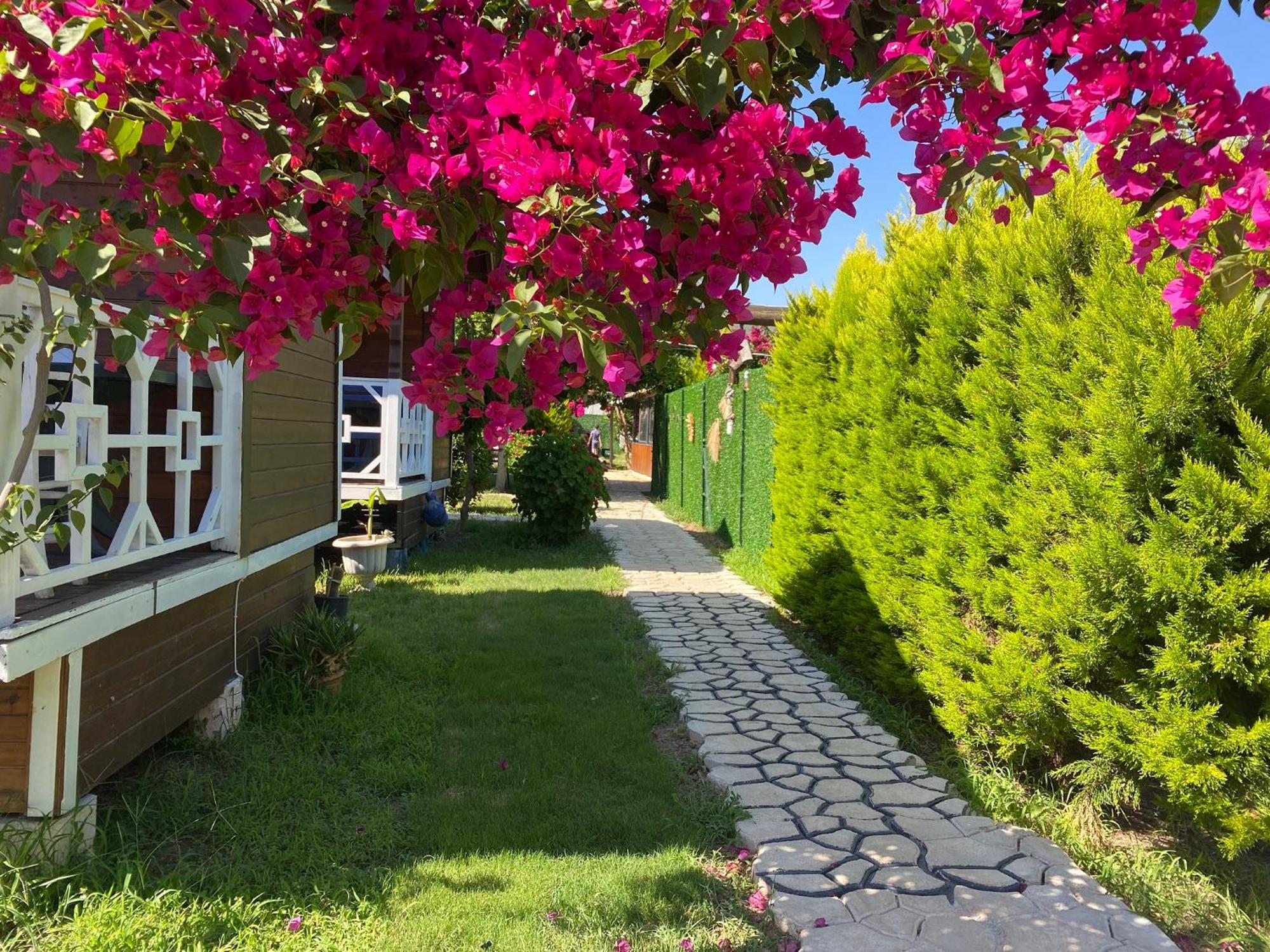 Karaoez Ada Bungalows & Villa Стая снимка