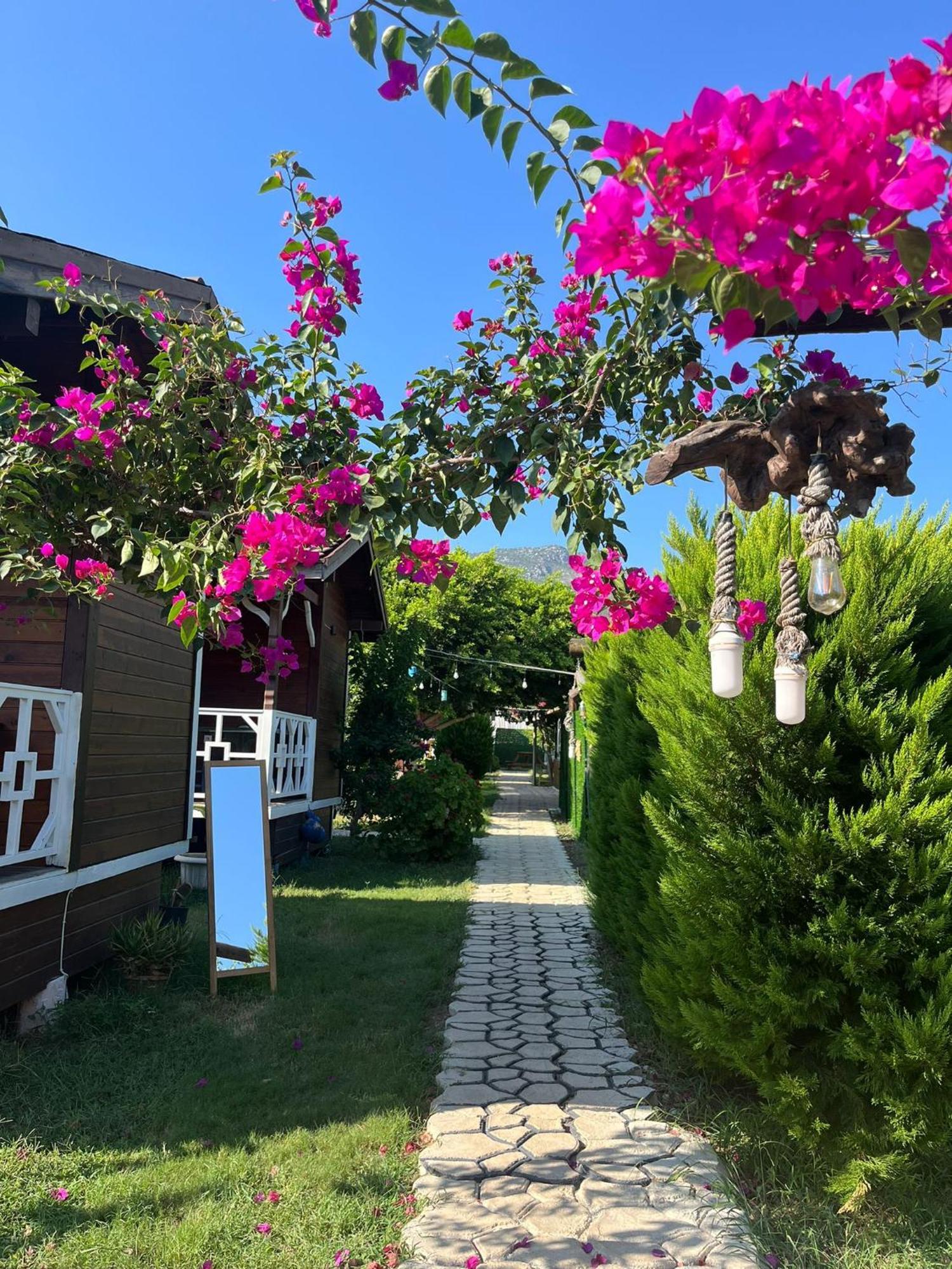 Karaoez Ada Bungalows & Villa Екстериор снимка